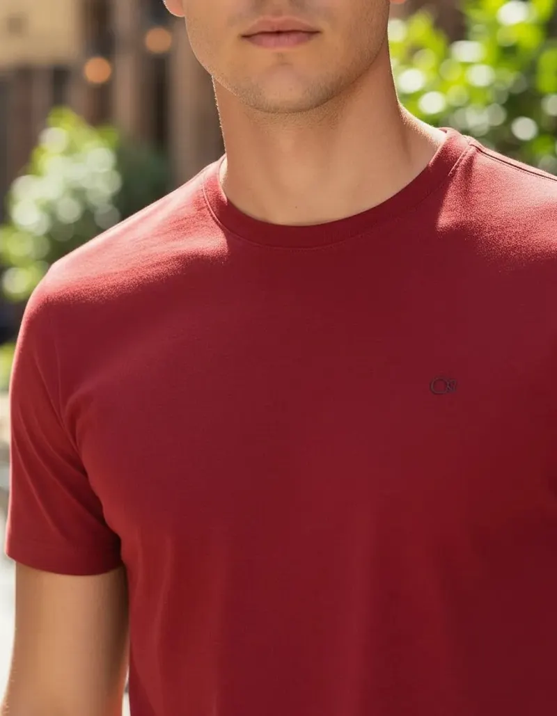 Camiseta Básica Ogochi Masculina Lisa Tecido Premium Oficial