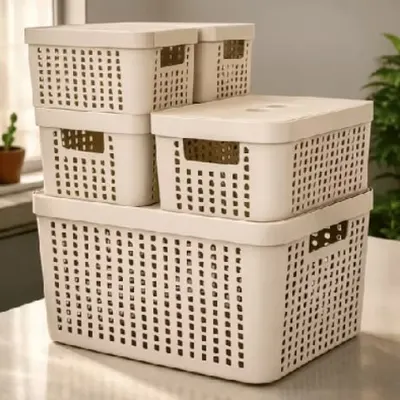 Kit 5 Caixas Organizadoras com Tampa Cesto Grande de Plástico 2 Litros 4,5 Litros